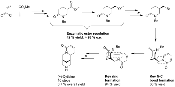 Cytisine-Based Nicotinic Partial Agonists as Novel Antidepressant Compounds  - Journal of Pharmacology and Experimental Therapeutics