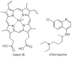 haem B and chloroquine